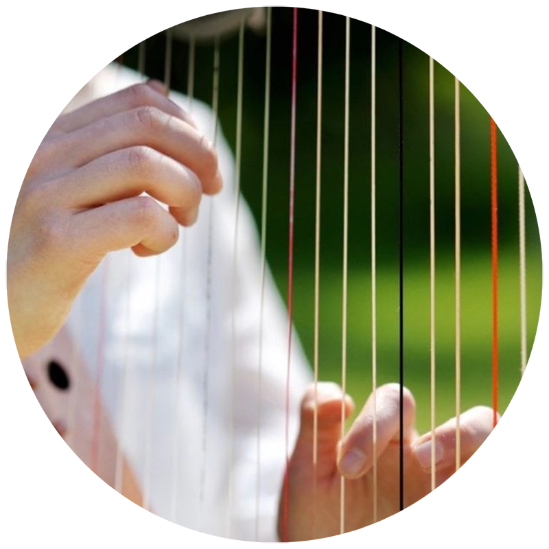 Harpist's hands plucking strings at Cleveland wedding